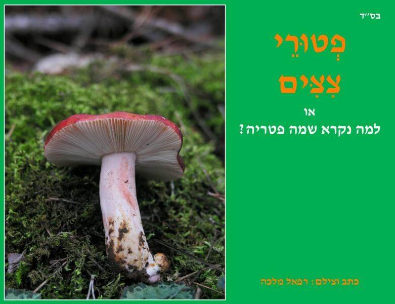 עטיפת הספר