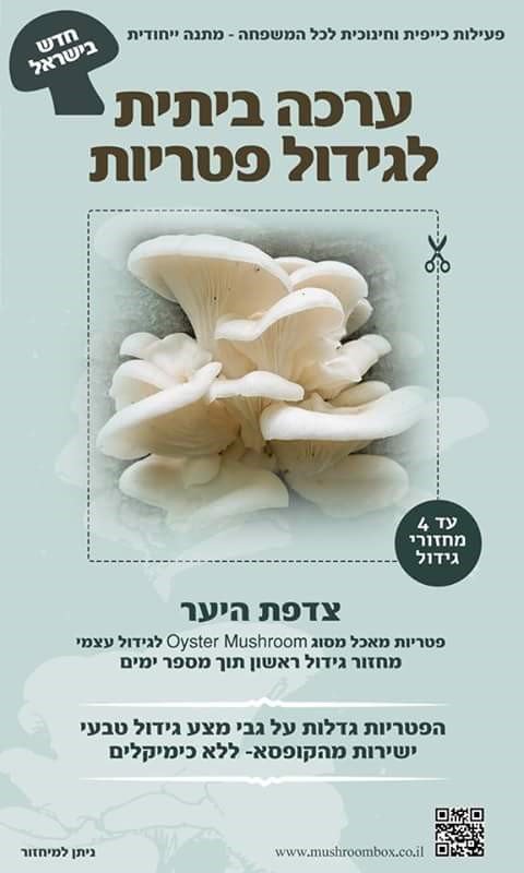 גידול פטריות